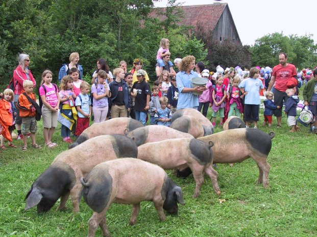 FLM Neuhausen Historische Schweinehut 3.JPG
