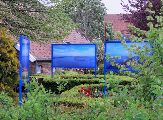 Ausstellung Naturansichten Rysum Foto Nationalparkverwaltung.jpg