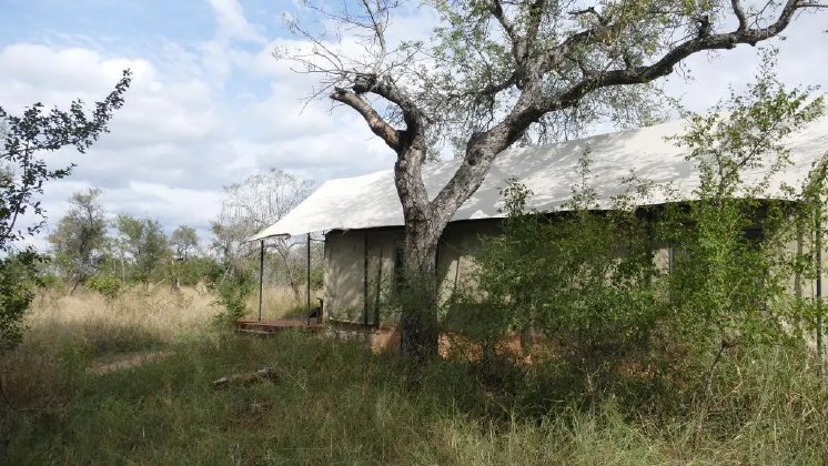 Khoka Moya Zelt.webp