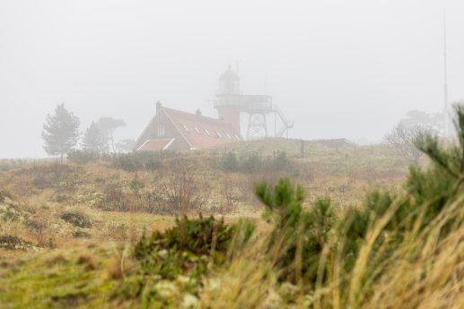 uitzicht vuurtoren in de mist - vlieland -130- Lydia Annema.jpg