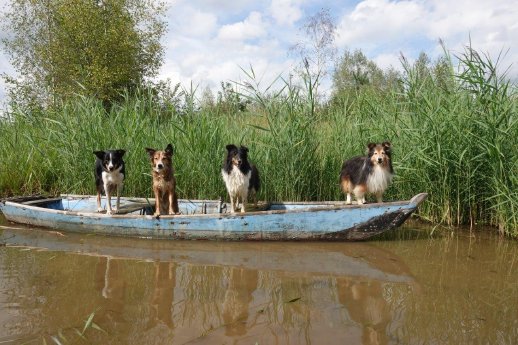3. Platz Tiere Krämer.jpg