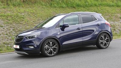 Barracuda Tzunamee Mokka