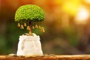 bAV 4.0: Die neue Generation in der betrieblichen Altersvorsorge