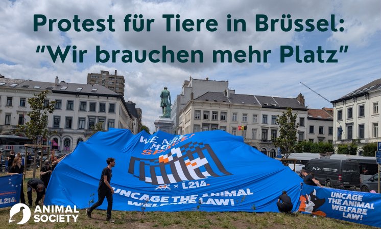 Pressemitteilungen (2).png