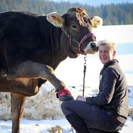 Für Markus Holzmann ist klar, der GKs ist auch zum Schutz der Klauen seiner Kuh Emmi geeignet..jpg