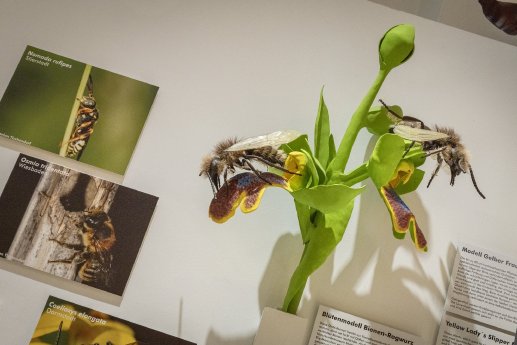 1 Blick in die Ausstellung Foto Museum Wiesbaden Bernd Fickert.jpg