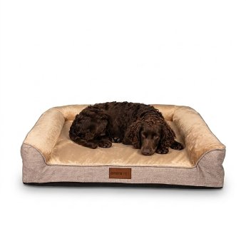 Katzen_und_Hundebett_Astro_M_Hauptbild_mit_Hund.jpg
