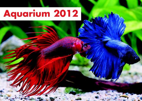 TITEL_Aquarium2012_300dpi[1].jpg