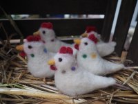 Wanna MoorIZ  Filzhühner