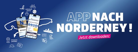 img-2bcabc4a-cf9c-44d6-80b2-b80fd63fb119