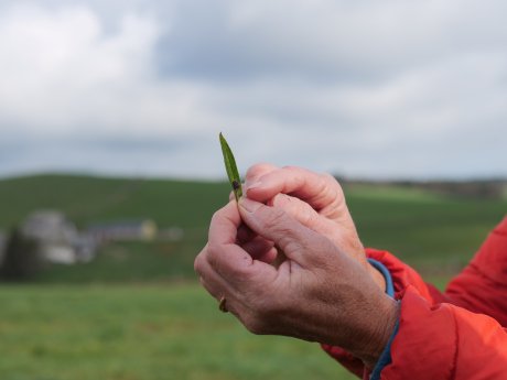 webUrsel Lorenz c Pia Huber_Schwarzwald Tourismus (3).jpg