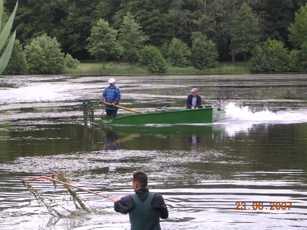 27-06-Bilddatei 1 zu Reutemattensee.JPG