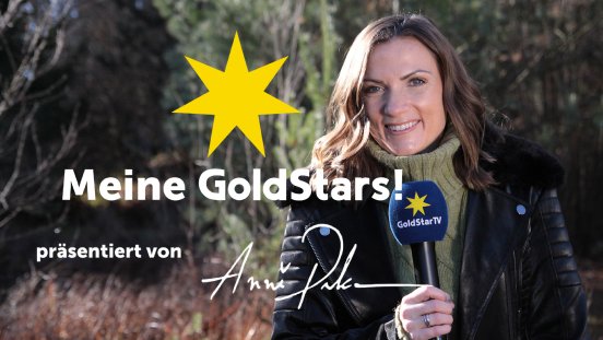 Meine GoldStars.jpg