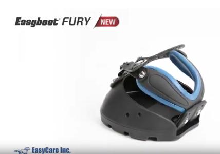 Easyboot Fury by EasyCare Inc.