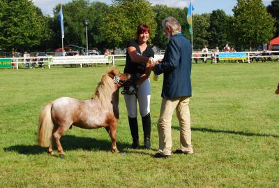 Erstplatzierter Mini-Shetty-Hengst Lou mit pro agro Vorstandsmitglied Dr. Ralf Ruhnau