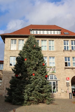 2020_Weihnachtsbaum Rathaus (4).jpg