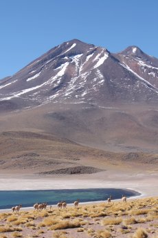 IMG_2706 (c) Lydia Dejas, Karawane.JPG