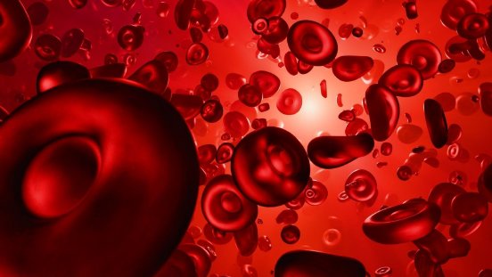 2026-06-08_web_PublikationBlood.jpg