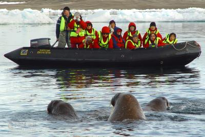 Arktis mit Poseidon Expeditions