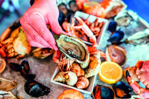 ┬®_AlexanderSpatari_GettyImages-2165523715_Seafood.jpg