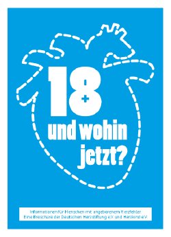 EMAH_Broschuere_2017_Cover_final.pdf