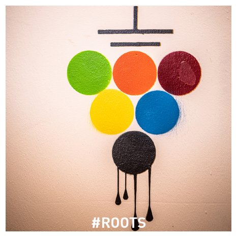 roots-0100.jpg