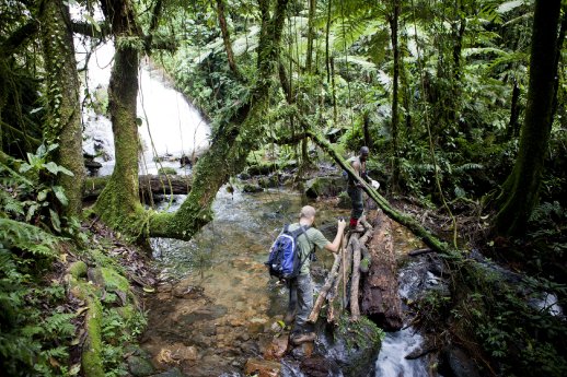 TAG_7_BWINDI_FOREST_TRAIL_c_UgandaTrails.jpg