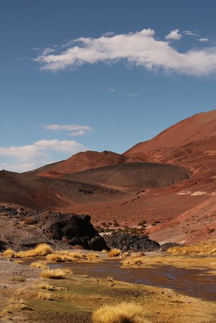 IMG_3189 (c) Lydia Dejas, Karawane.JPG