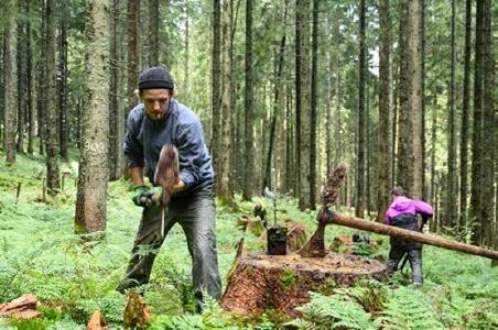 Bergwaldprojekt e.V. und Landesforsten setzen auf naturnahen Harzwald