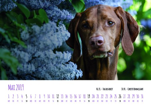 Kalender-05_Mai.jpg
