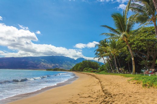 beach-hawaii_pixabay.jpg