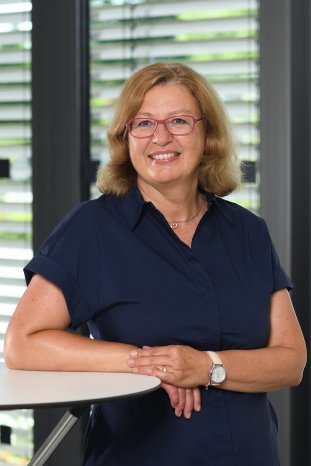 Credit CBM_Stier.jpg