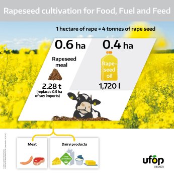 ENG_UFOP_Rapeseed uses per hectare_090323.jpg