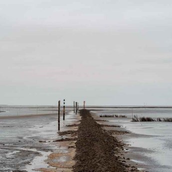 wattenmeer_1.jpg