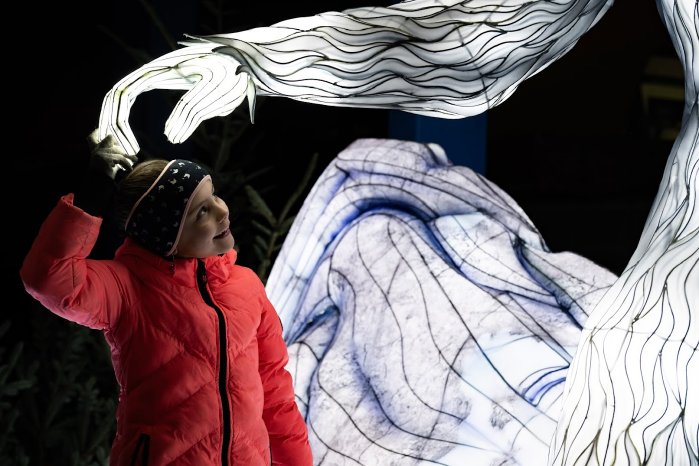 Wunderlight - Wunderland Kalkar - 12.jpg