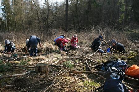 - Zweitklässler der Grundschule Edertal säen Buchenkeimlinge im Nationalpark Nationalpark