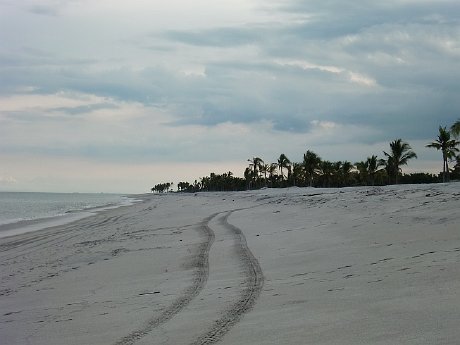 StrandAutospurenPanama.jpg