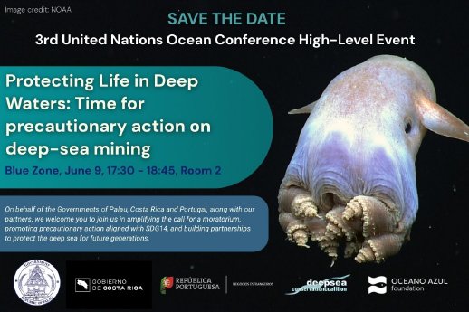 DSCC DSM UNOC Save the date.jpg