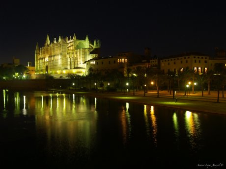 fincallorca_Palma_Cathedral_at_night.jpg