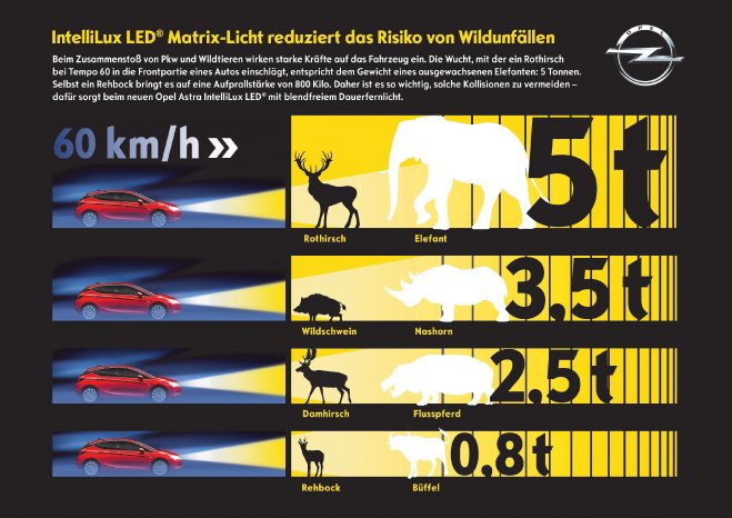 Opel-IntelliLux-LED-Matrix-Light-Wildunfaelle-298505.jpg