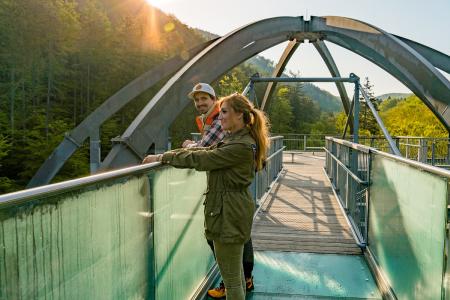 Nachts in den Wipfeln, Sonnenaufgang auf dem Baumwipfelpfad Harz