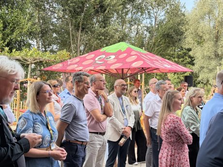 20260722_A3-Sommerfest_Hofis-Erlebniswelt-1.jpg.webp