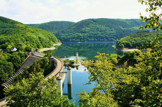 Nationalpark_Eifel.jpg