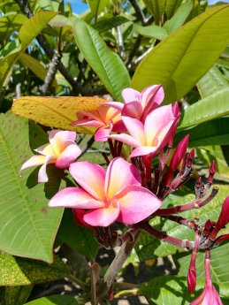 IMG_20211214_095700 - Karawane Reisen, Anett Schäffner.jpg