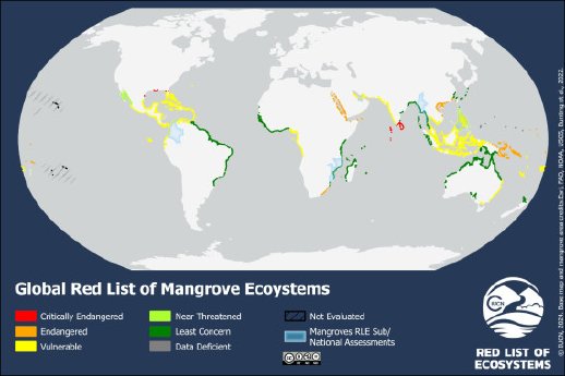 GLOBAL_MANGROVE_RLE_L4_Robinson_10x15_1a1598075d02fb0cce0455205c25eba5.jpg