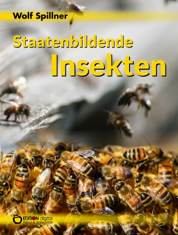 Insekten_cover.jpg