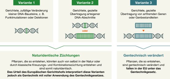 Infografik_CRISPR_KWS_DE.JPG