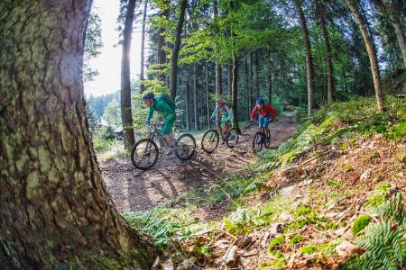 Foto: obx-news/Tourismusverband Ostbayern/Andreas Meyer