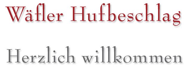 Logo Company Wäfler Hufbeschlag - Willkommen auf der Homepage.PNG