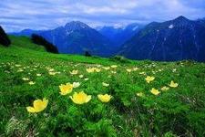 Almwiese, Foto: Wikinger Reisen